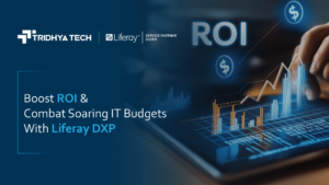 Boost ROI & Combat Soaring IT Budgets With Liferay